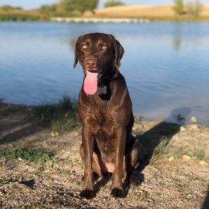 Meet your Posher, Steph